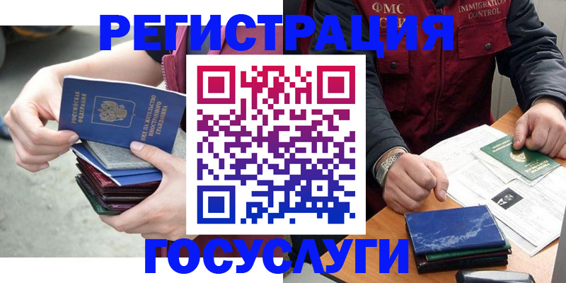 прописка для школы в Камышине
