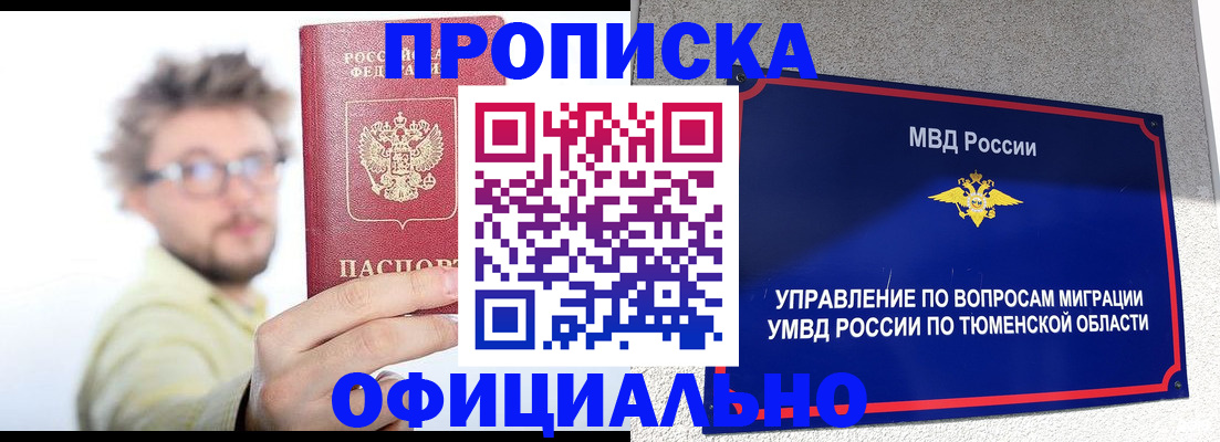 прописка поиск в Камышине